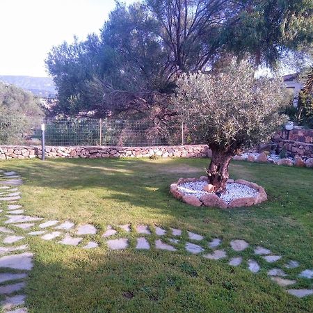 Villetta Cala D'Ambra サン・テオドーロ エクステリア 写真